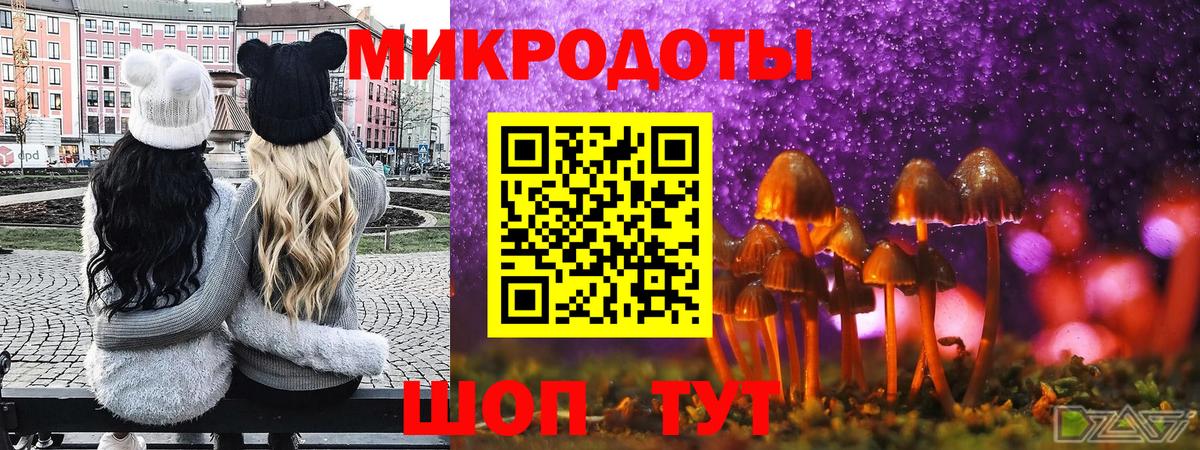 Сочи  Галлюциногенные грибы прущие грибы  Вход с VPN 